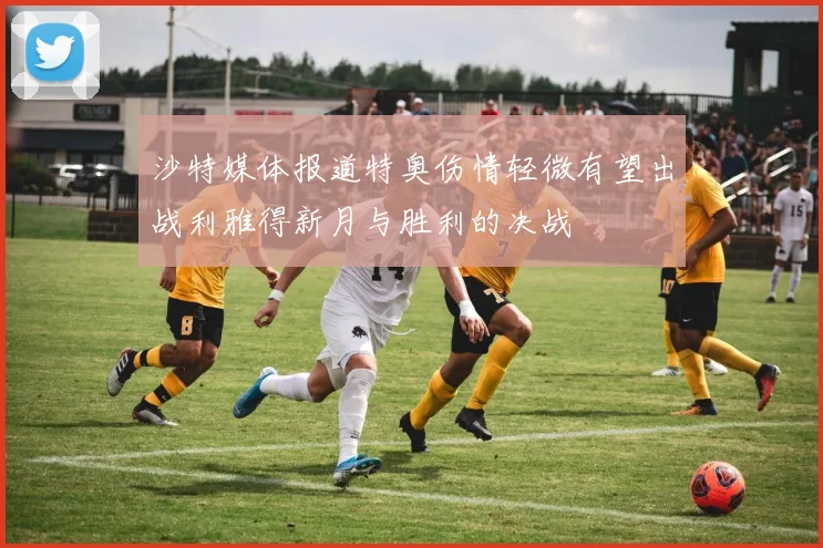 沙特媒体报道特奥伤情轻微有望出战利雅得新月与胜利的决战