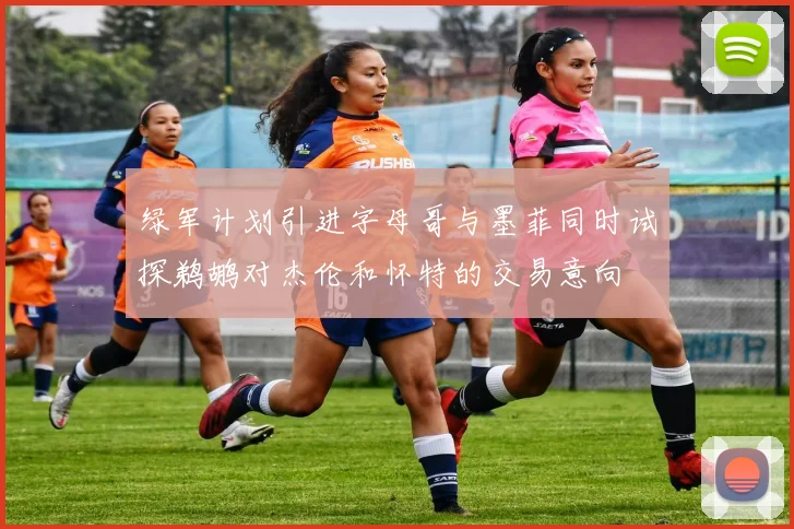 绿军计划引进字母哥与墨菲同时试探鹈鹕对杰伦和怀特的交易意向
